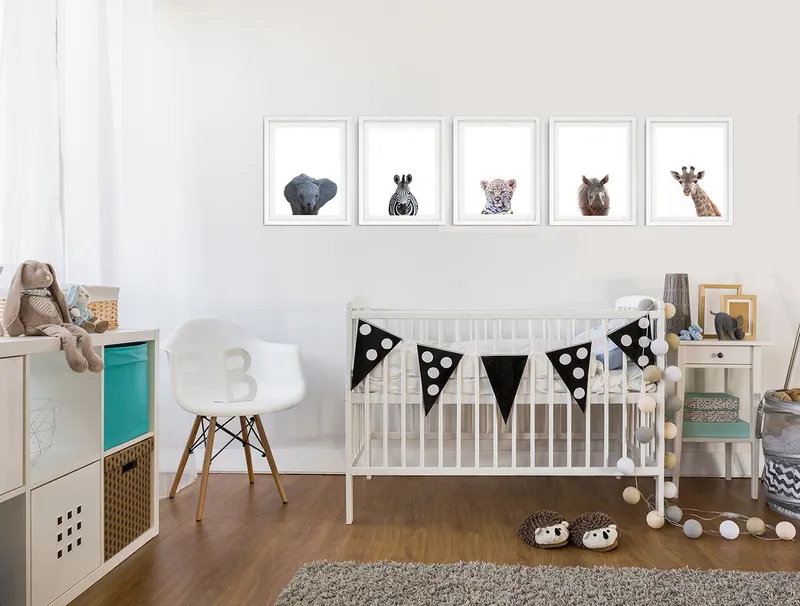 Safari babies | Sophie - Image 2