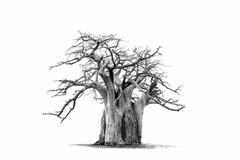 Upside down - Image 2