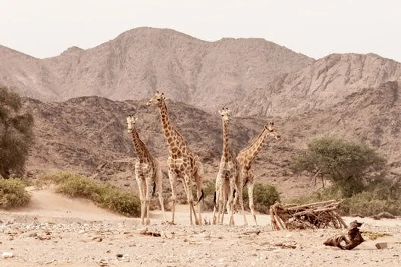 Savannahwhisper - Image 2