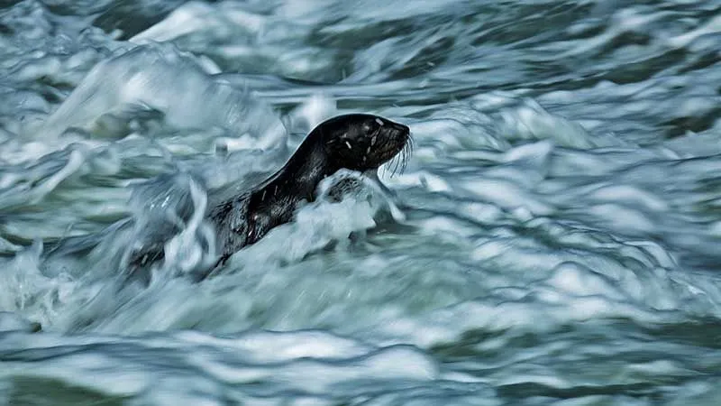 Headway (limited edition) - Image 2