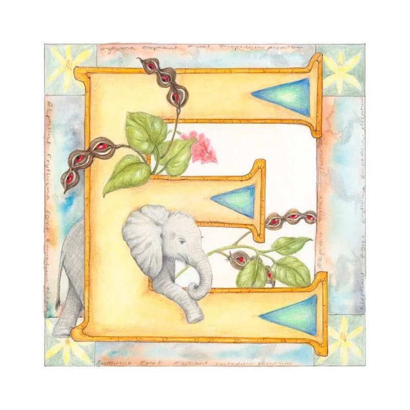 Bush Babies - Individual Letter Print - Image 2