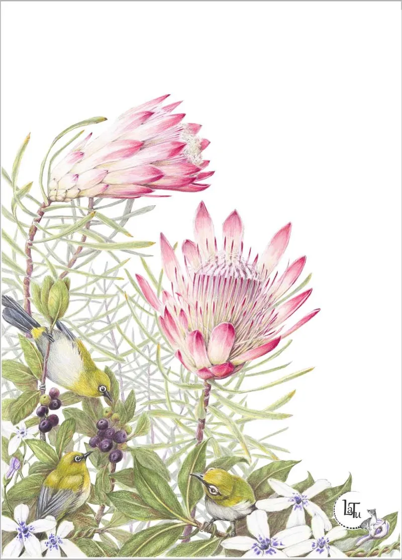 Tea Towels - Sugar Bush - Image 1