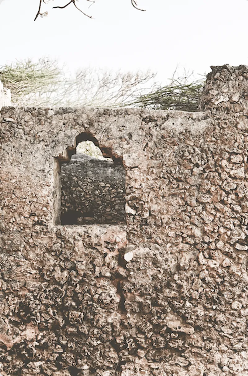 Soul Window - Image 2