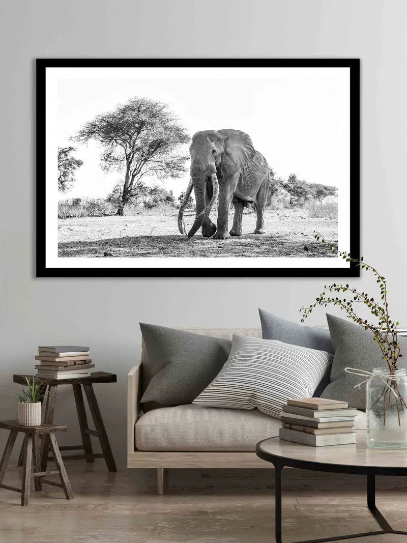 Tumba kubwa - Image 8