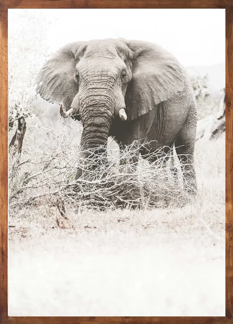 Heritage set - Image 3