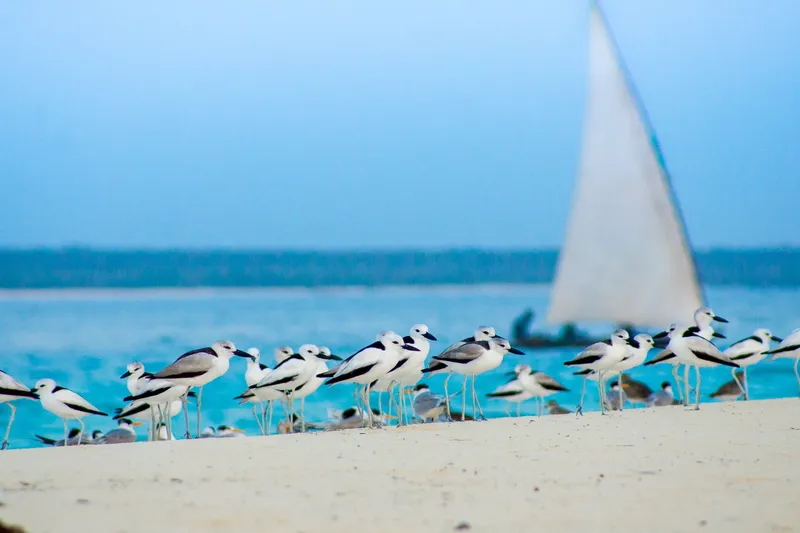 Sailing by - Image 2