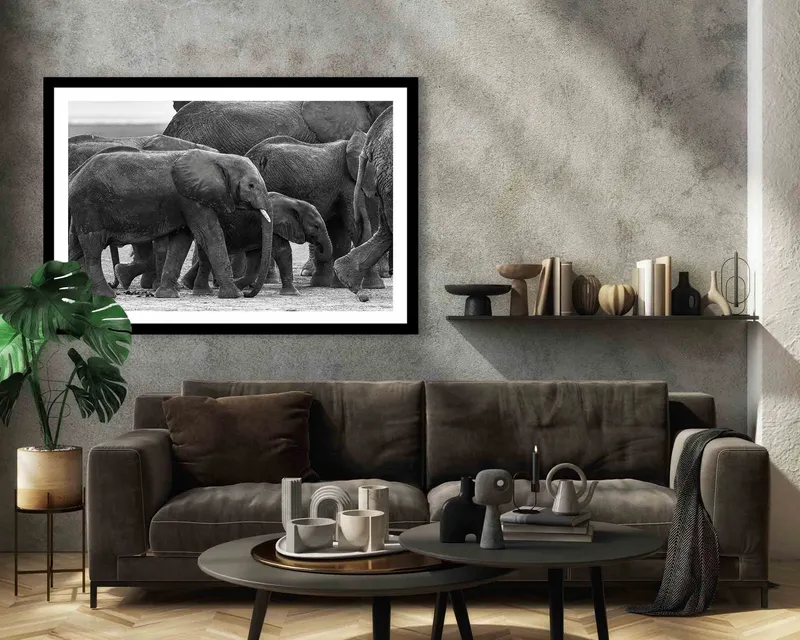 On the track - Image 7