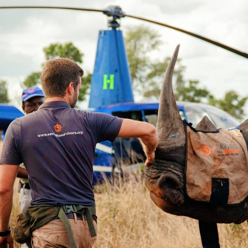 Saving The Survivors Charity Bracelet - Image 8