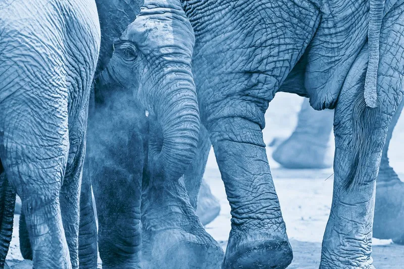 Dusty view - Image 2