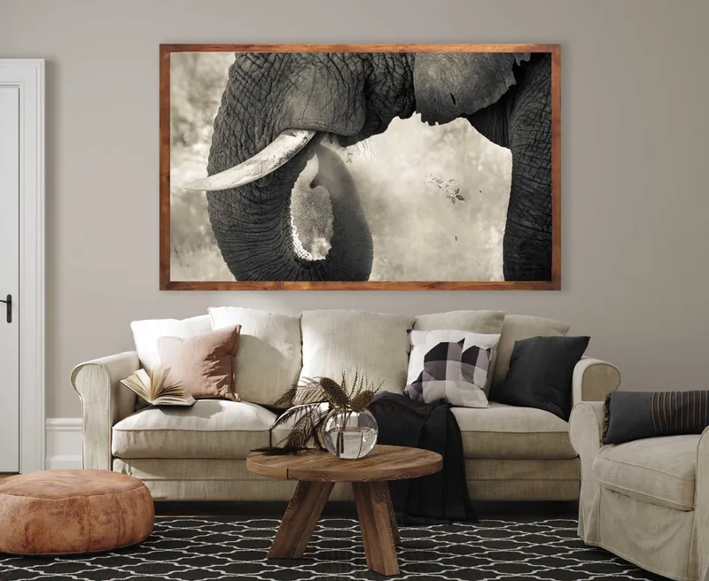 Trunk and Dust - Image 1