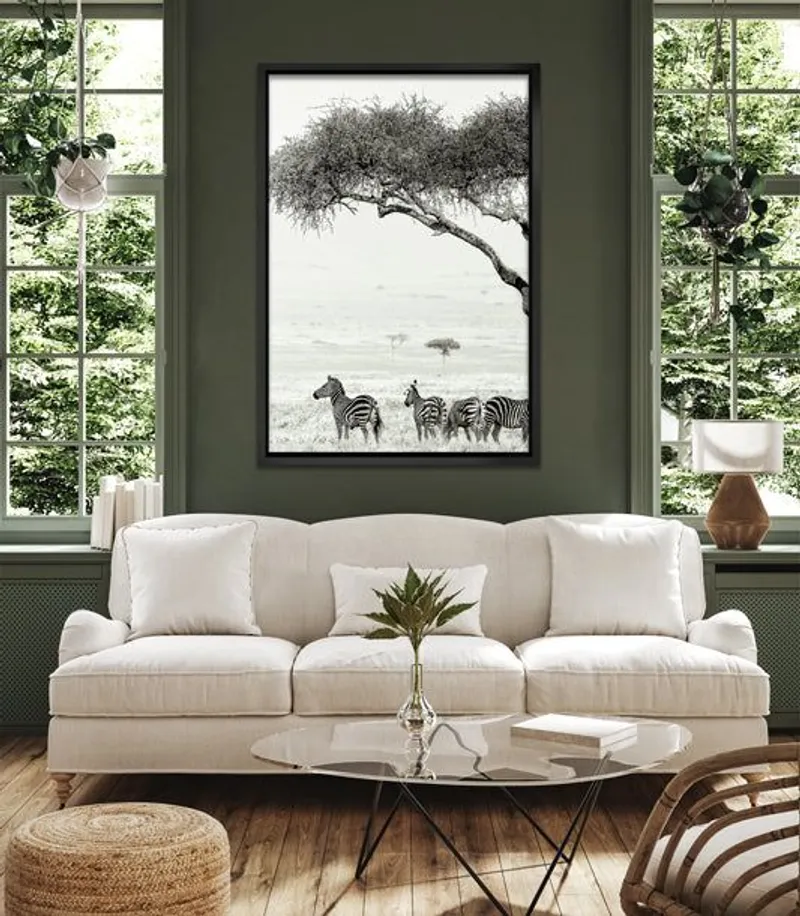 The Zebras - Image 7