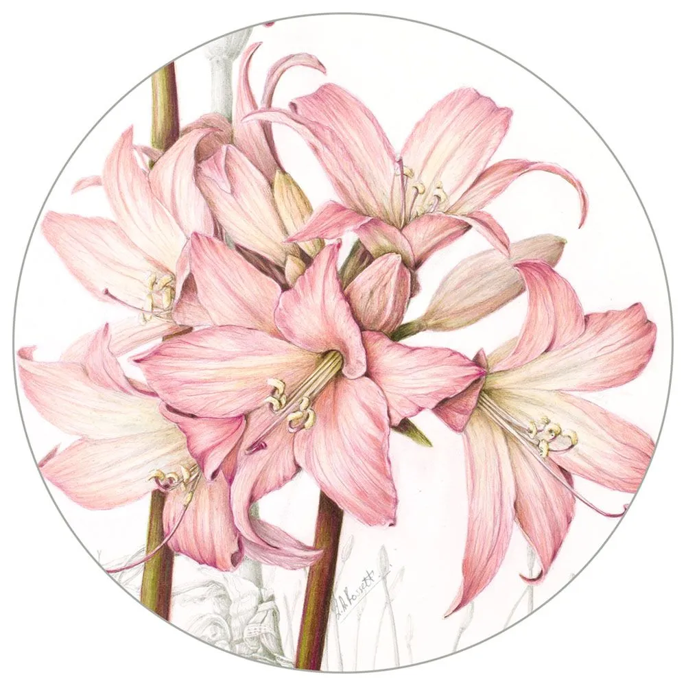 Coaster - Pink Perfection