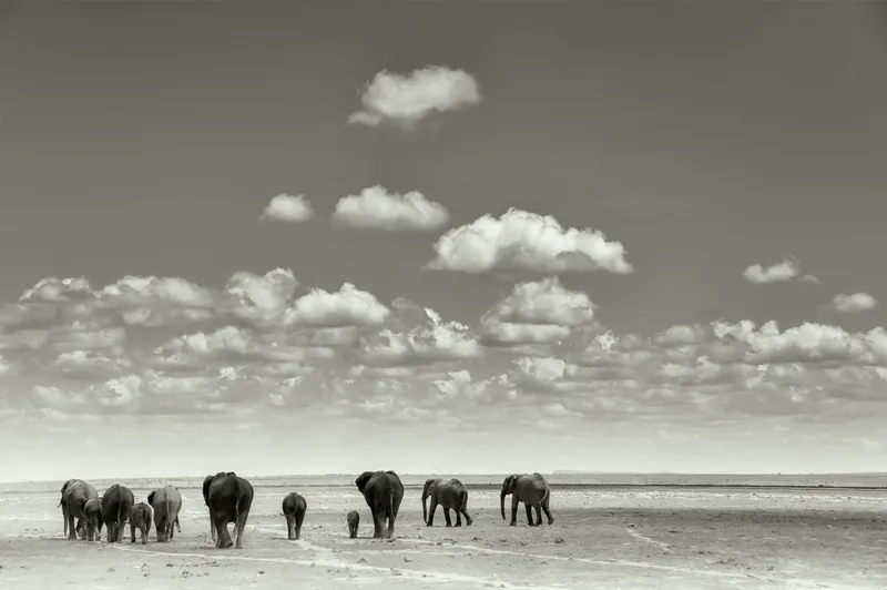 Perspective Black Frame - Image 2