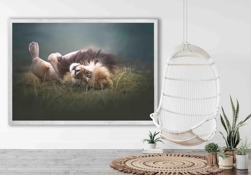 A King Under The Spotlight - Image 8