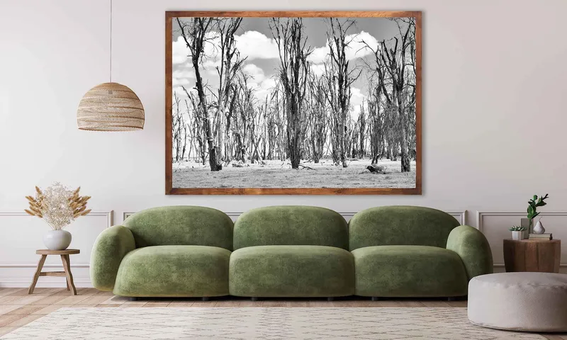 Treescape - Image 1
