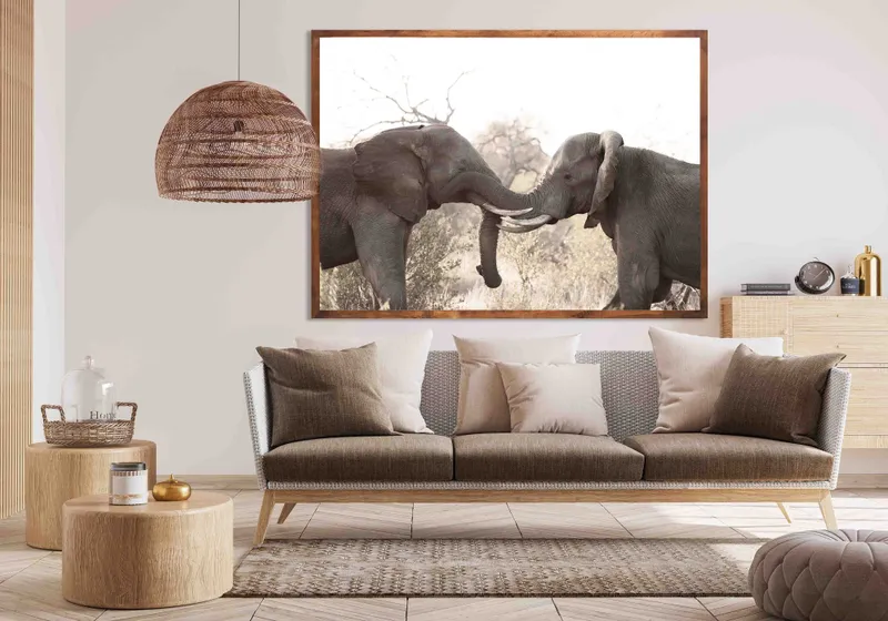 African Savanna - Image 1