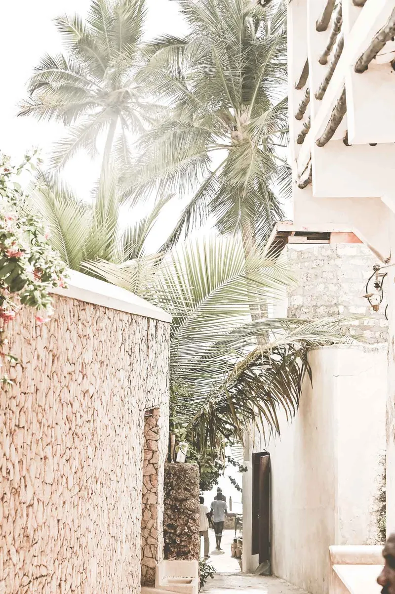 Summer Haze - Image 8