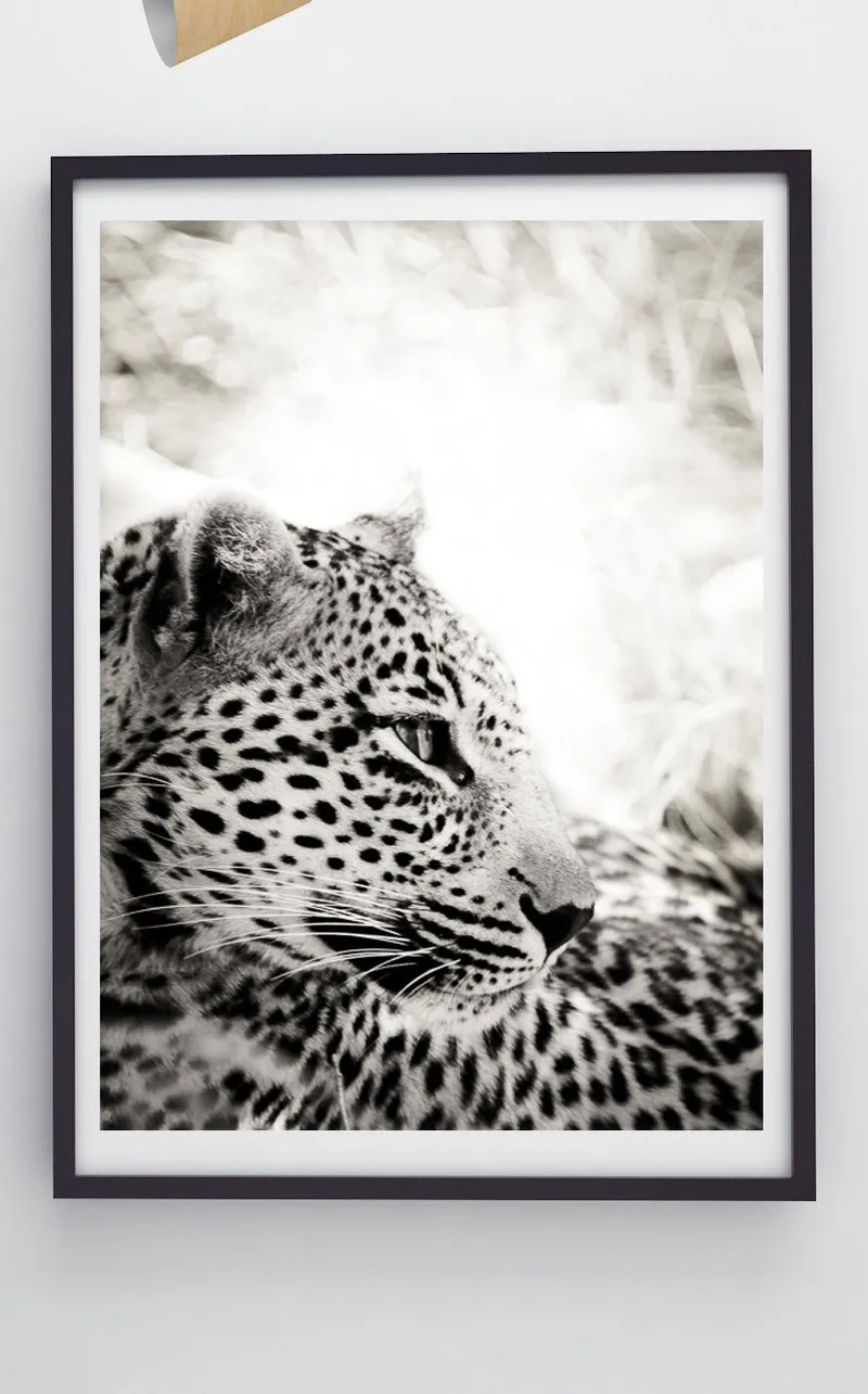 The Leopardess - Image 2