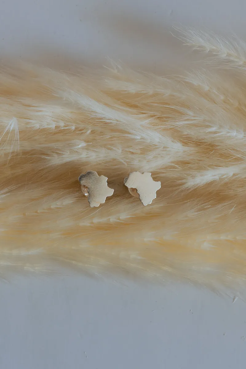 Solid Africa Map Studs - Image 3