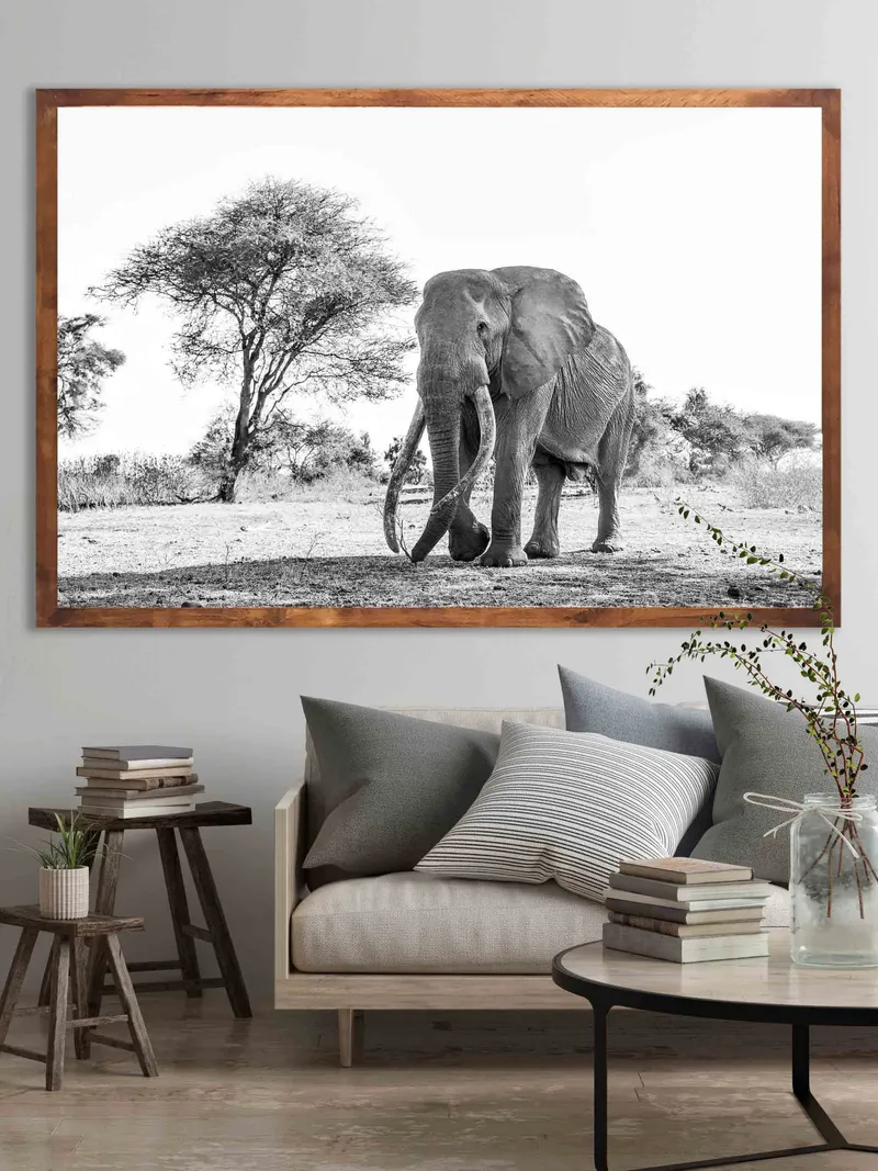 Tumba kubwa - Image 1