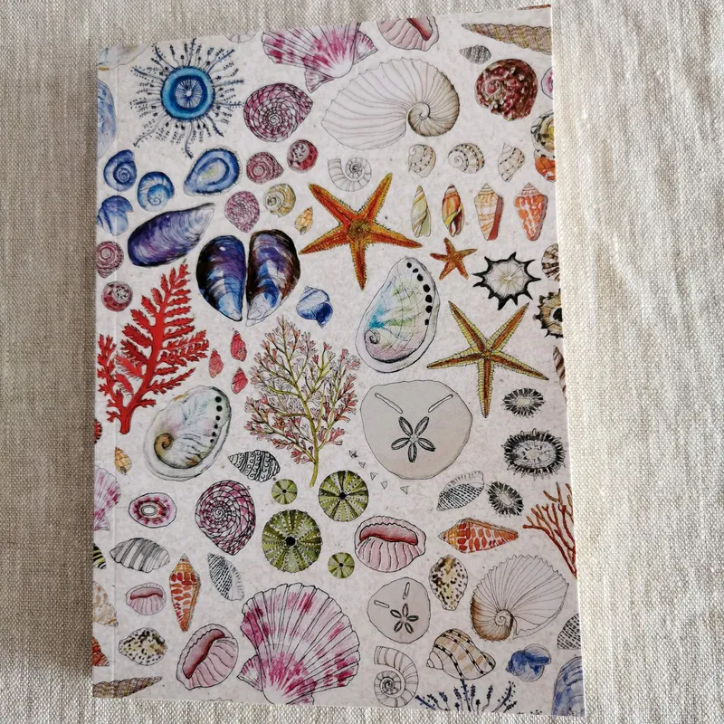 Seashells Journal - Image 1