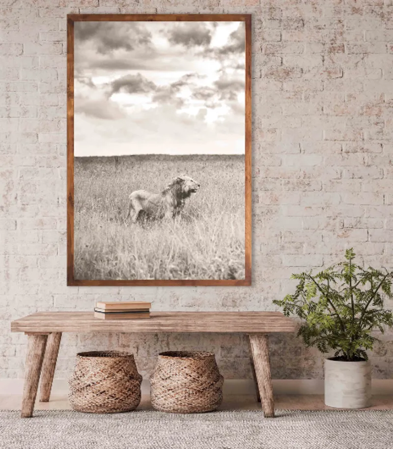 The Kingdom - Image 1