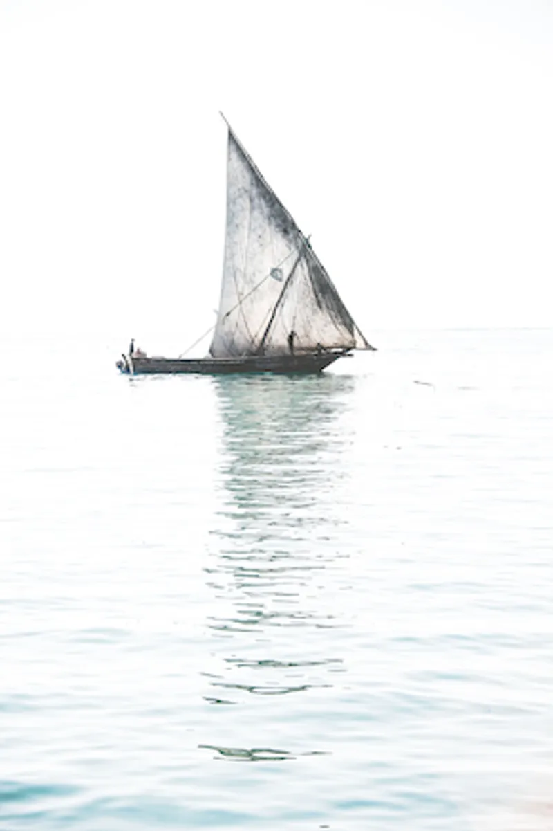 Float (Colour) - Image 2