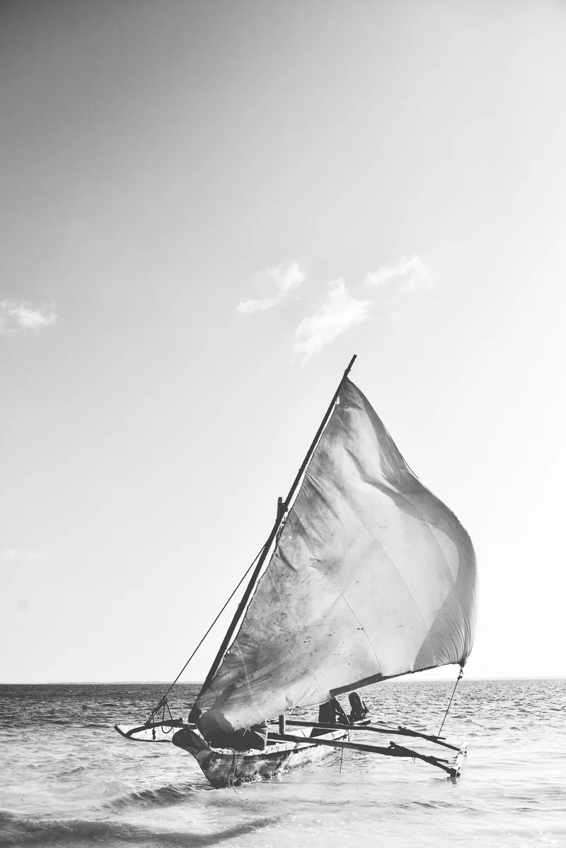 Wind in the sails - Image 1