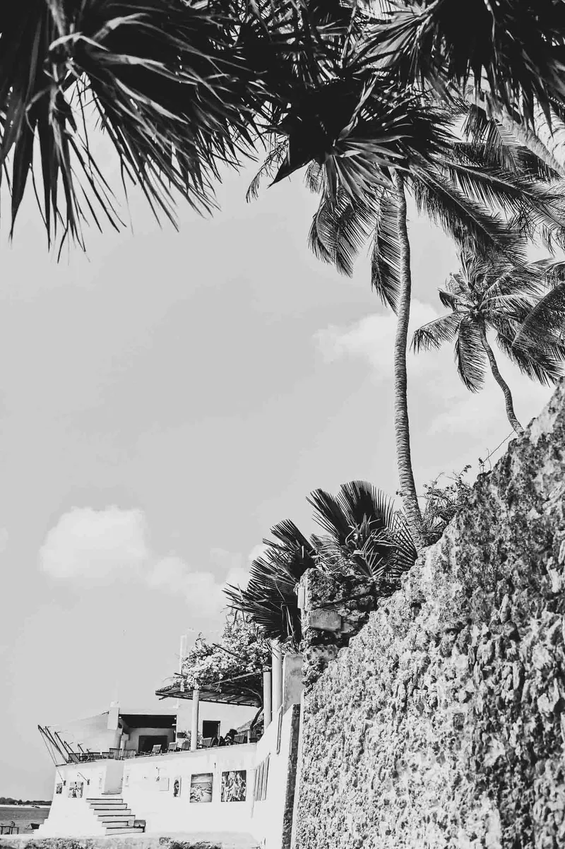 Peponi Palms - Image 2