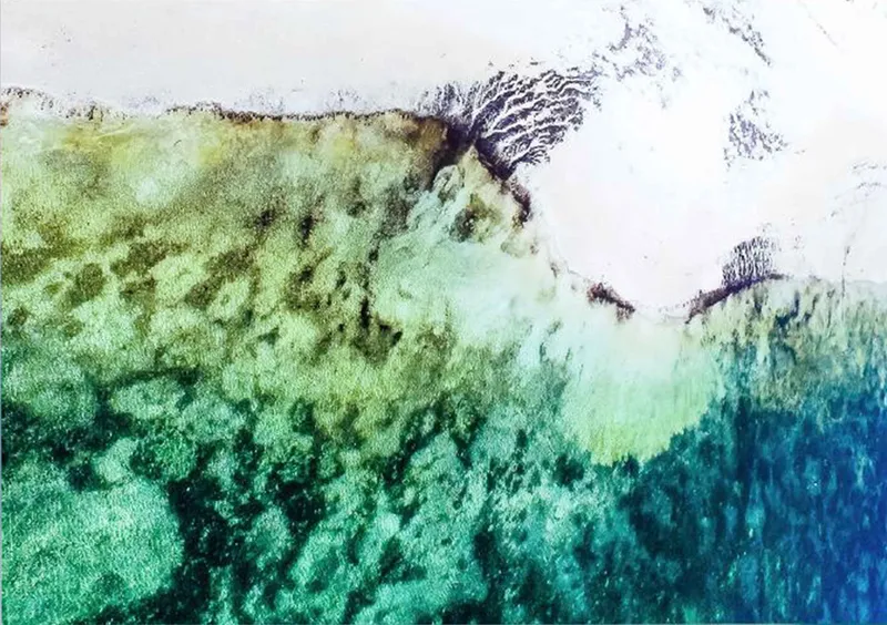 Konokono Zanzibar - Image 2