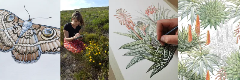 Coral Bloom - Image 2