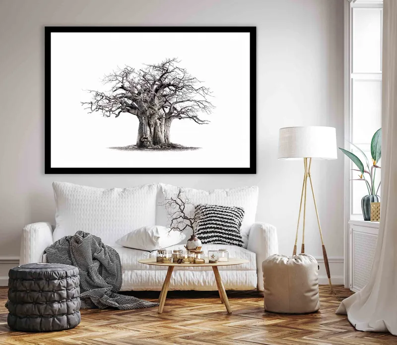 The Monkey bread tree - Image 8