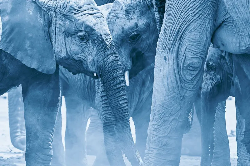 Eye to Eye - Image 8