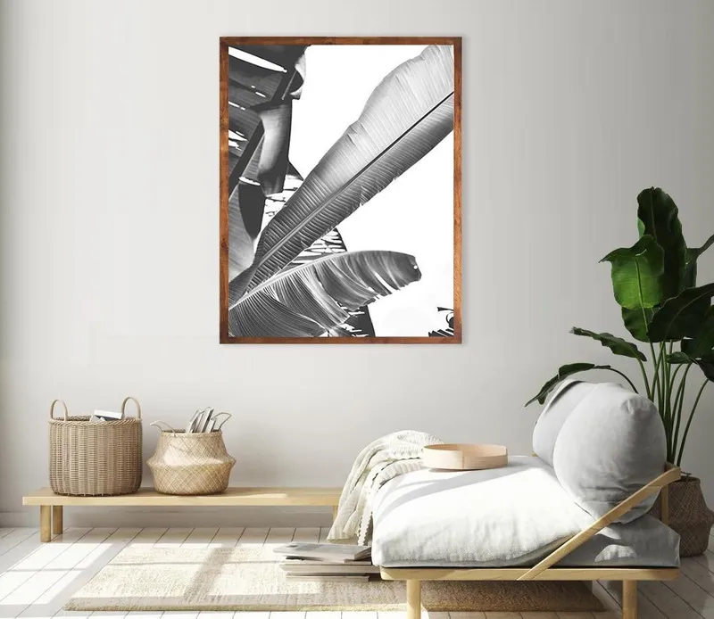B/w Banana leaf 4 - Image 1