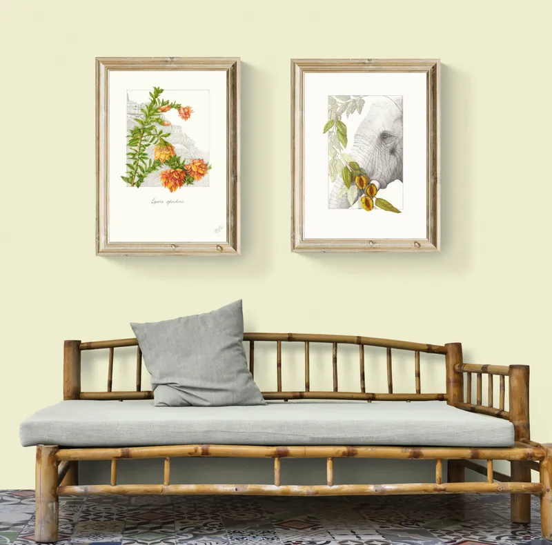 Mountain Dahlia - Image 2