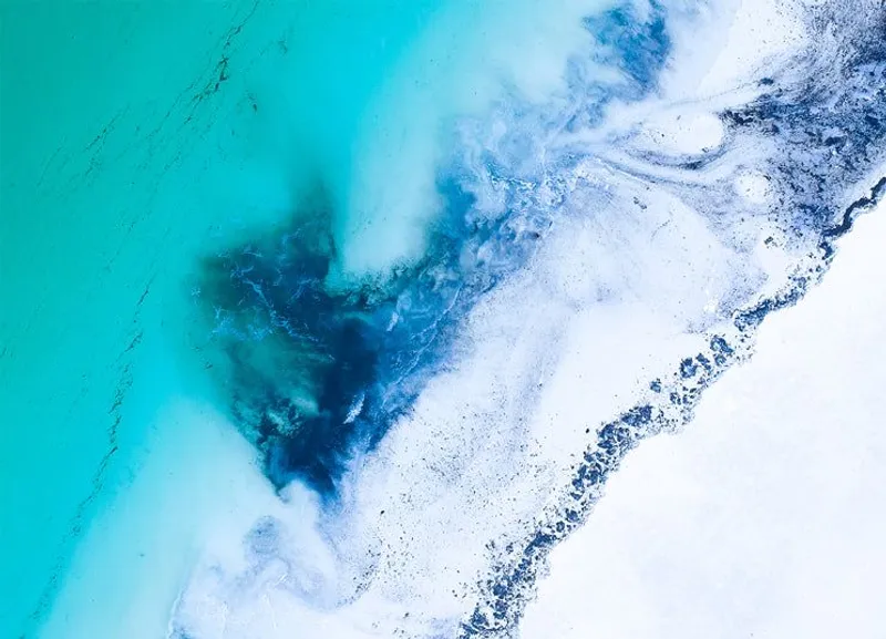 Pingwe village Zanzibar - Image 2