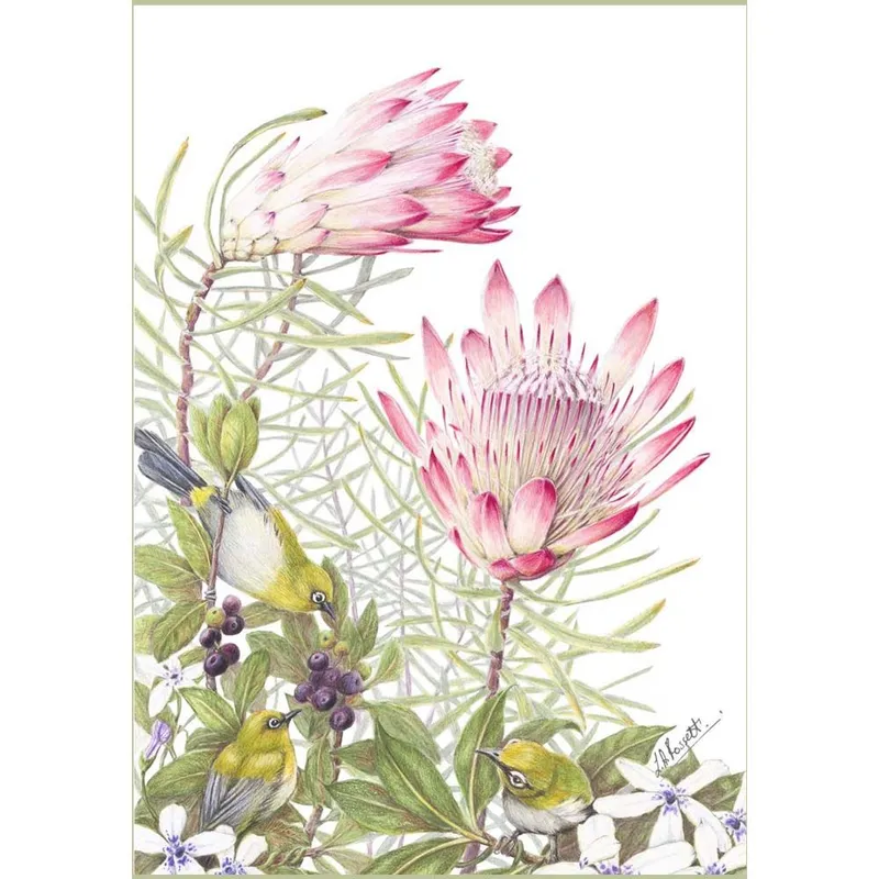 Gift Cards: Fynbos 1 (Pack of 4) - Image 2