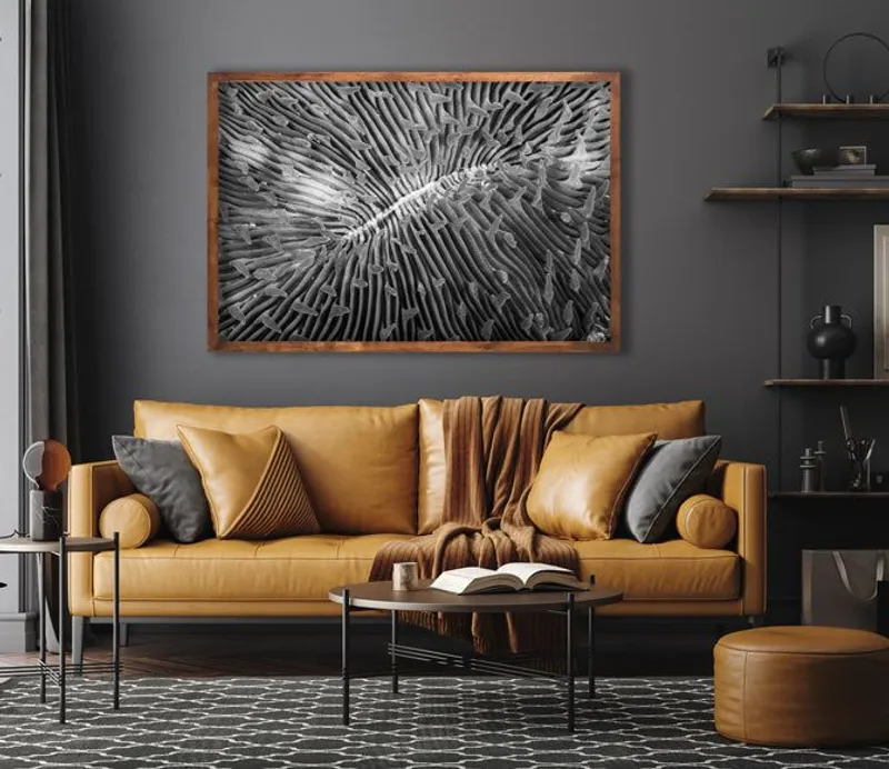 Ebony and Ivory Reef - Image 2