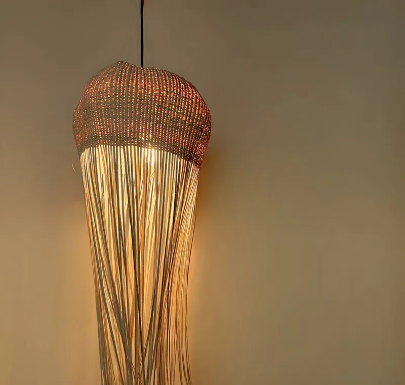 The Jellyfish shade - Image 2