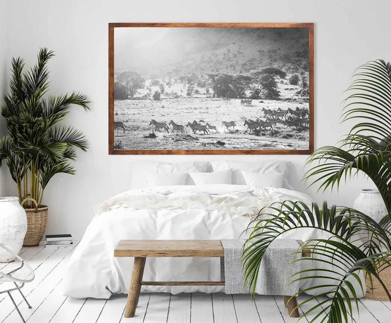 Serengeti zebras - Image 1