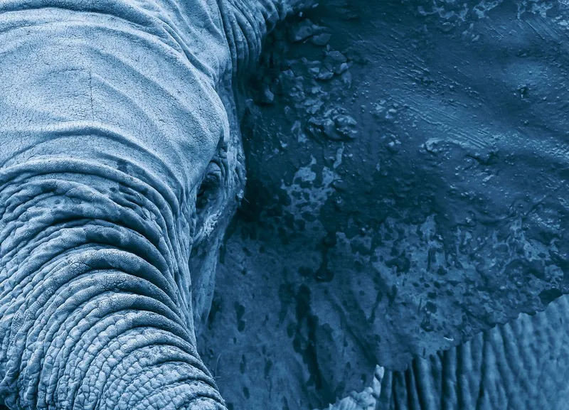 Topography - Image 2