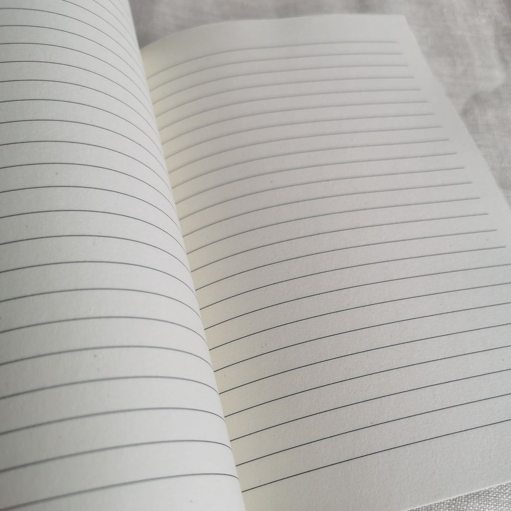 Seashells Journal