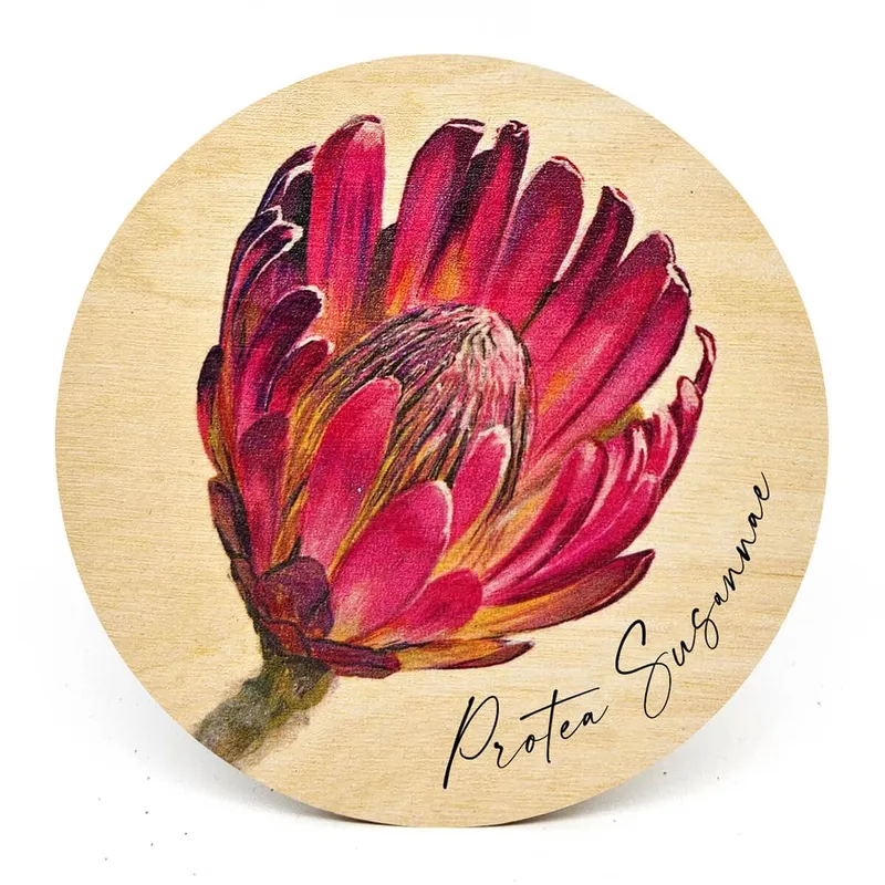South African Wooden Coasters - Image 1