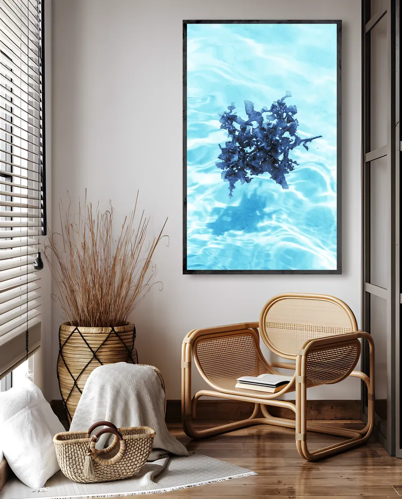 Float series | Coral centre - Image 6