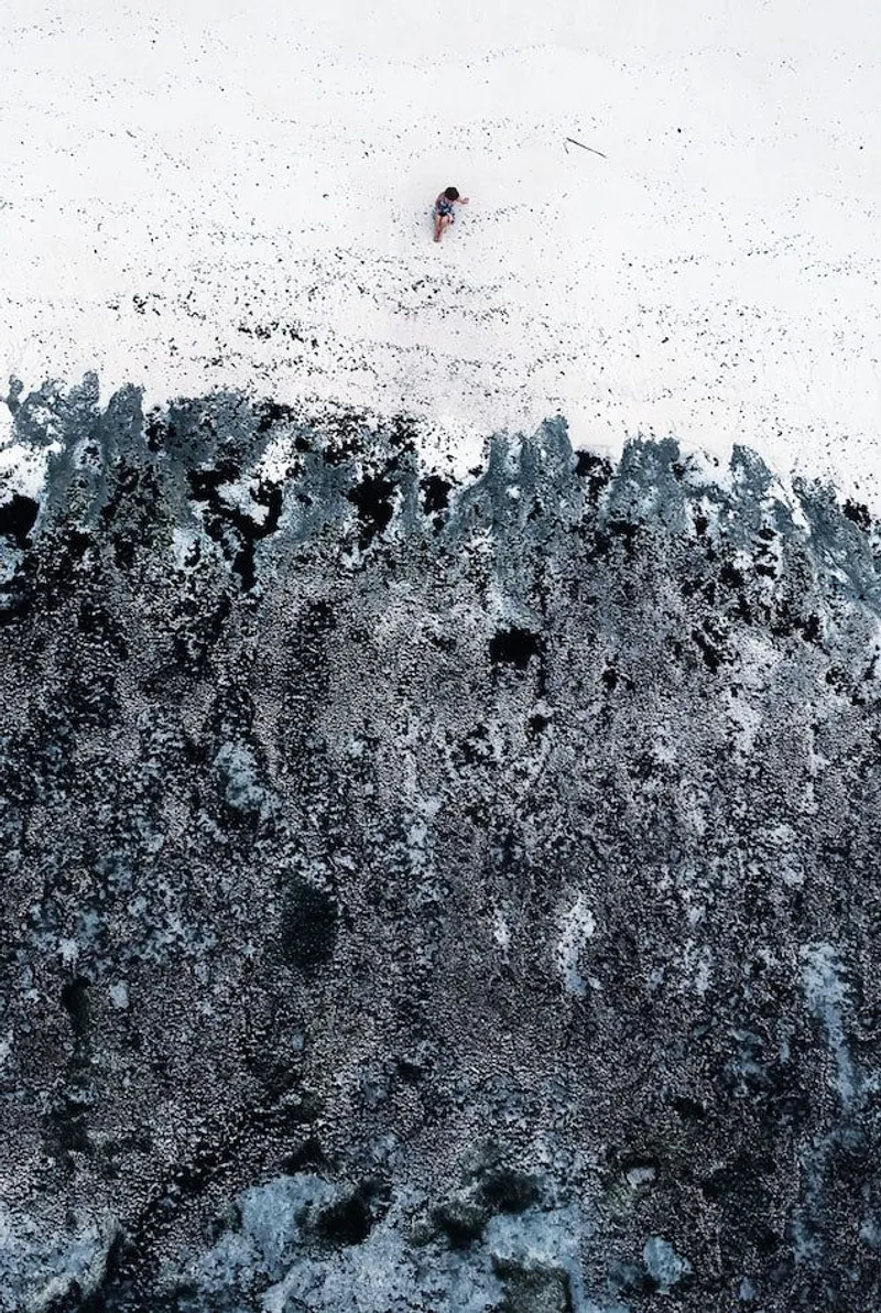 Sun Bathing - Image 2