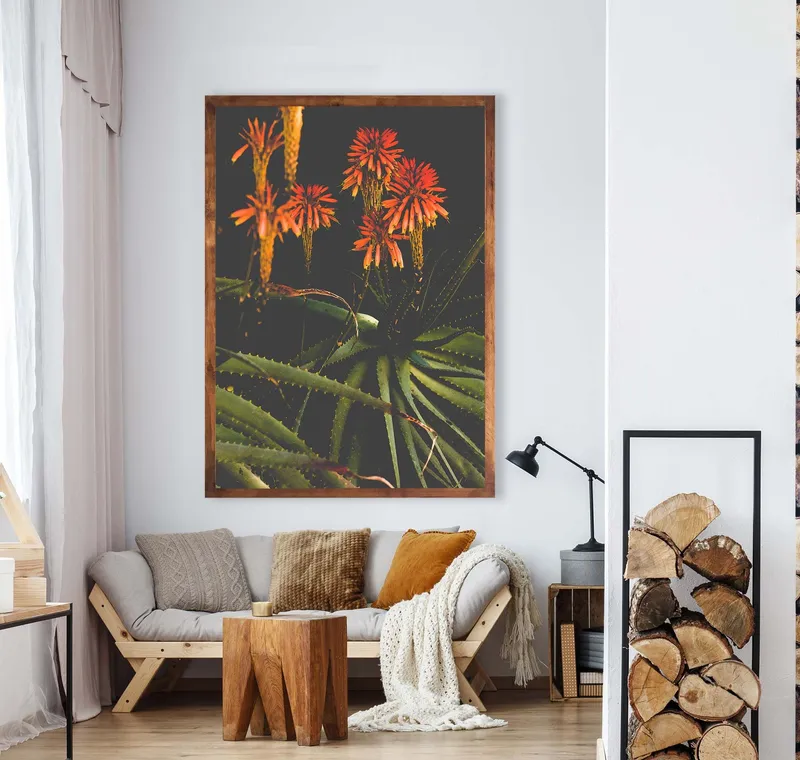 Winter bloom - Image 1