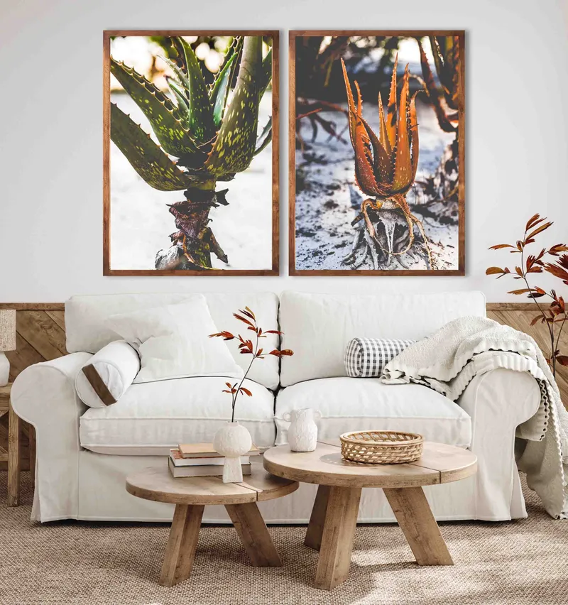Beach aloes set - Image 1