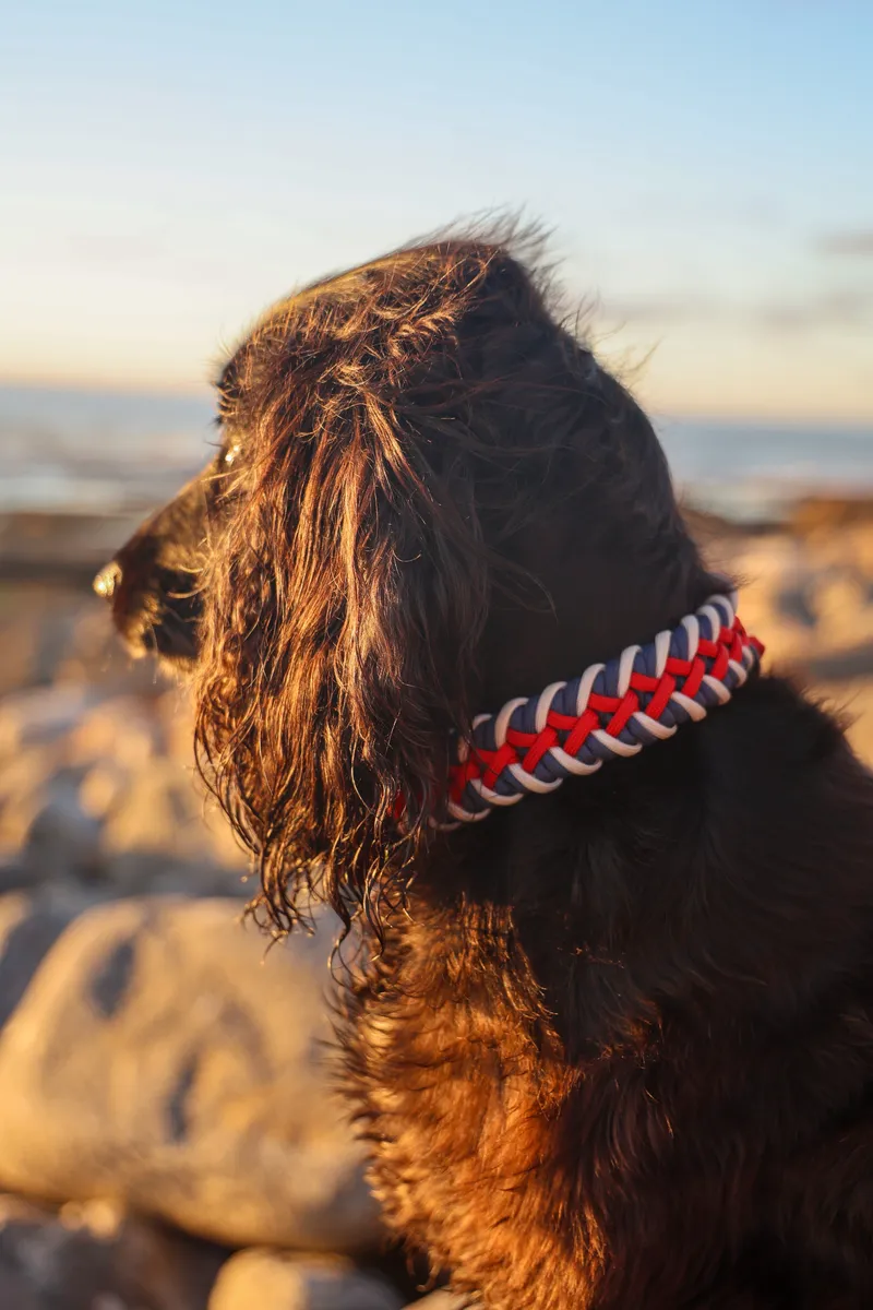 Sailor SNOOT - Image 1