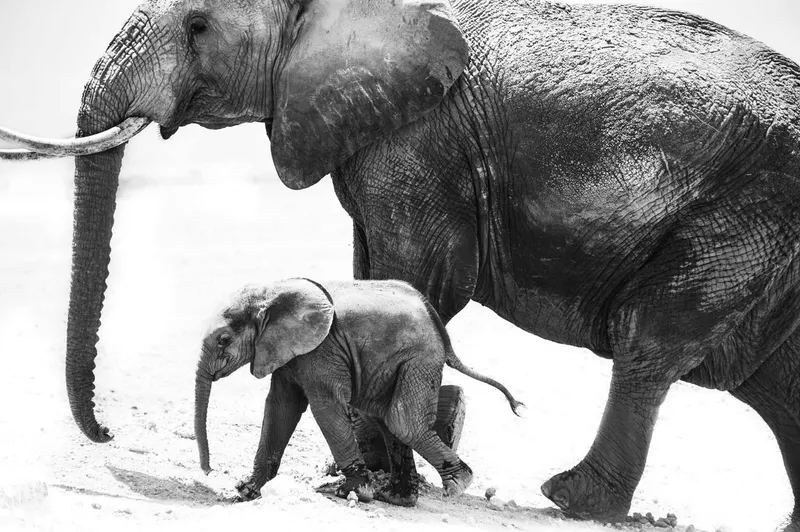 Mothers Love - Image 2