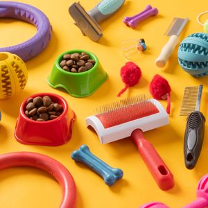 Pet Clothing & Accessories